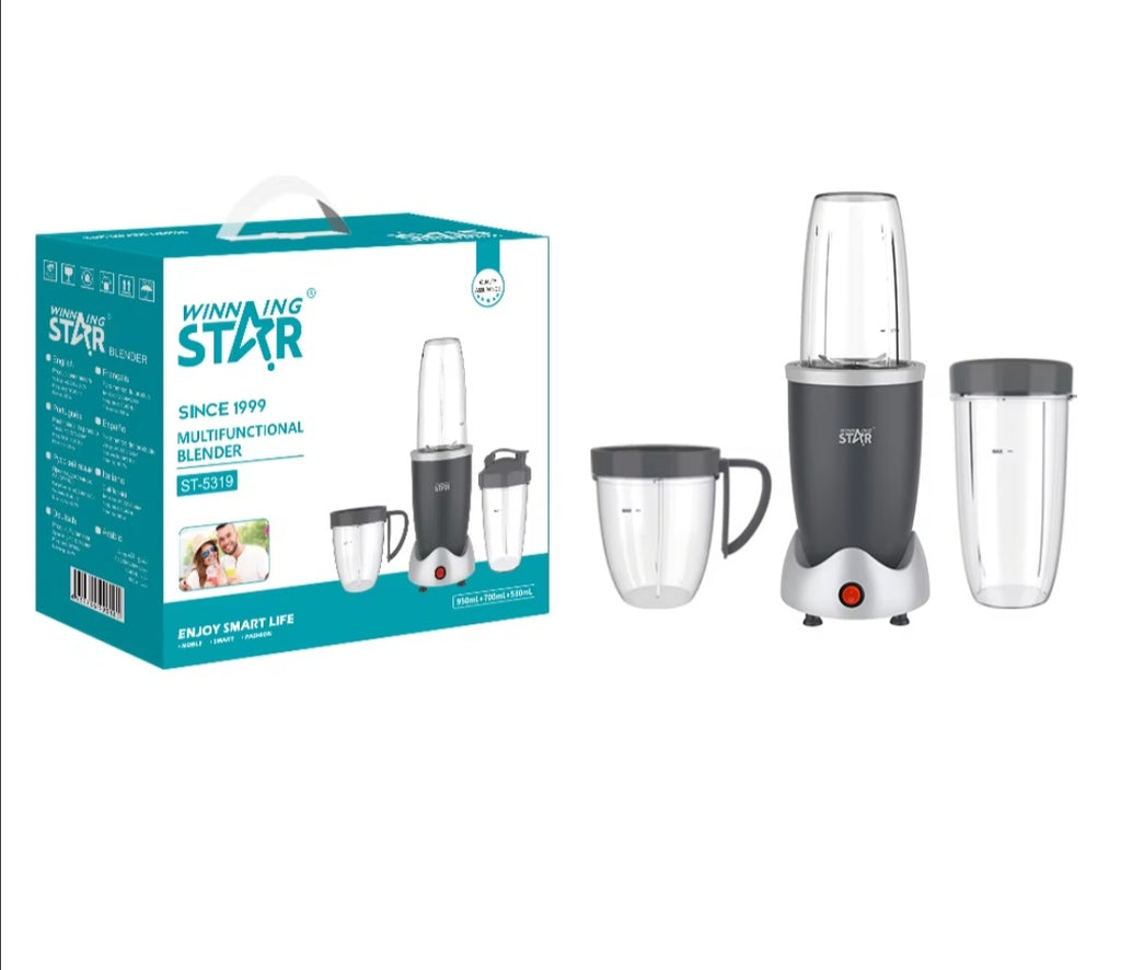 3 IN 1 PORTABLE BLENDER